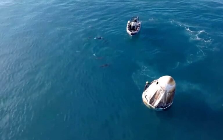 Watch: Dolphins Welcome Sunita Williams, Butch Wilmore Back Home