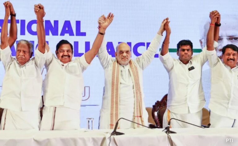 "Still...": Amit Shah On BJP's K Annamalai 'Being Removed' For AIADMK Alliance