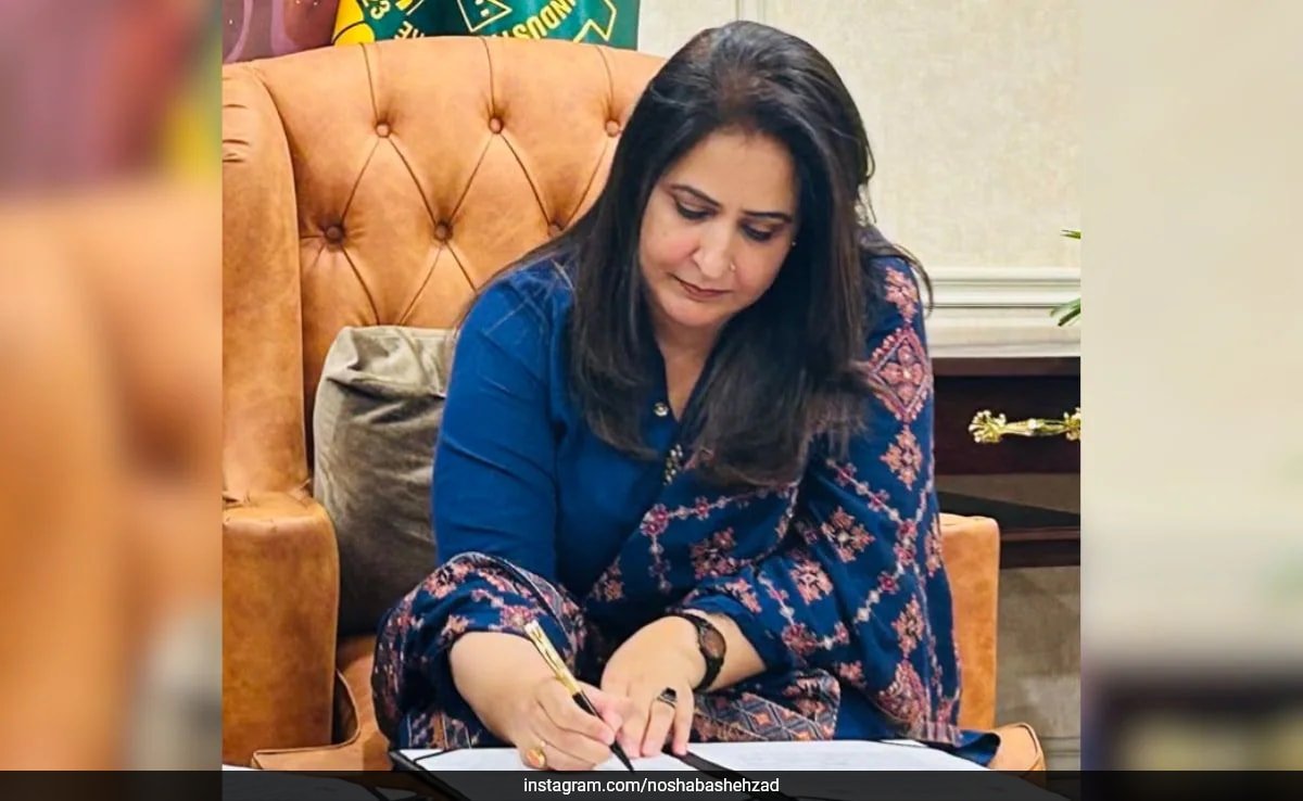 How ‘Madam N’ Lured Indian Social Media Influencers To Spy For Pakistan