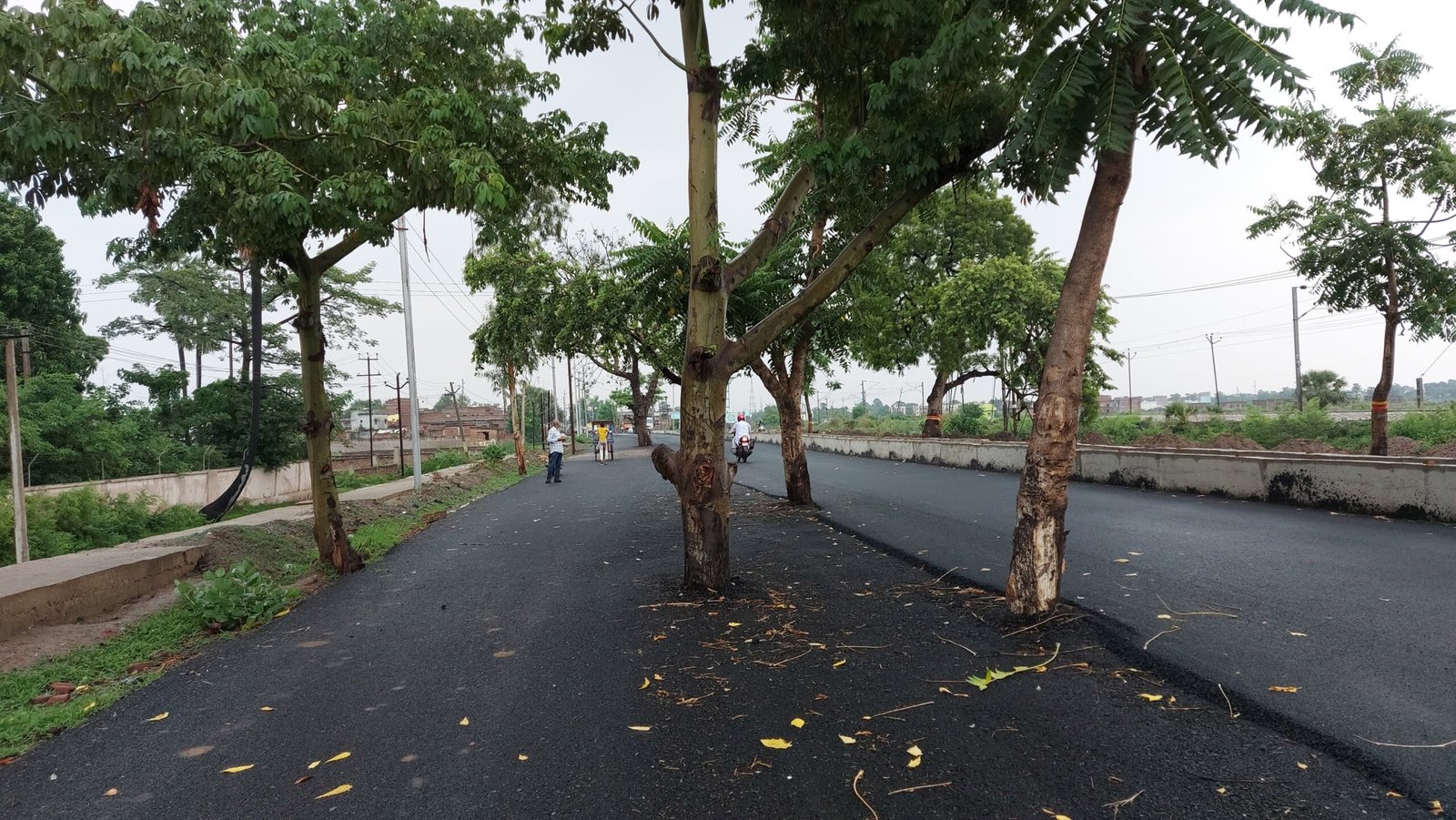 Rs 100 Crore Road Built In Bihar. Problem: Nobody Cut Trees In The Middle