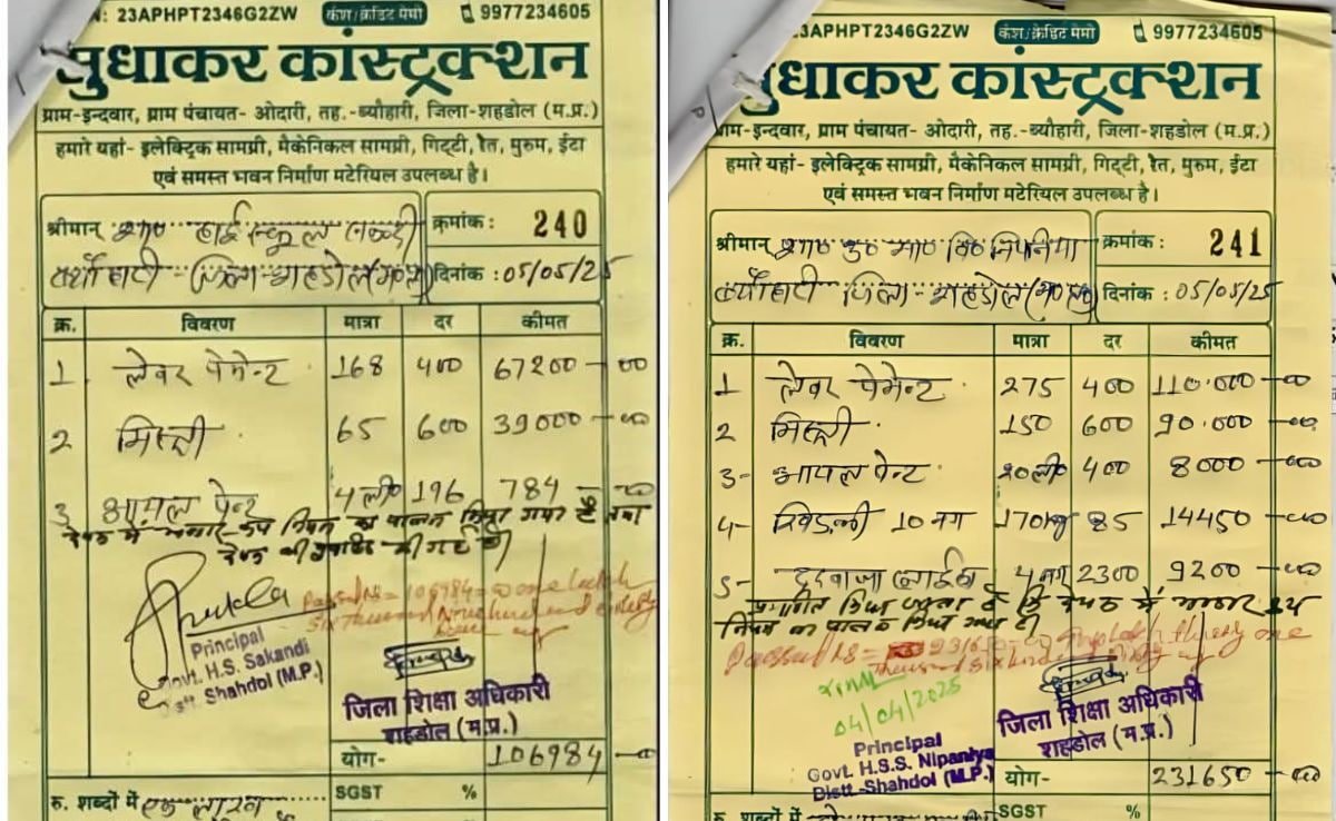 1 Wall, 4 Litres Of Paint, 233 People: Madhya Pradesh School’s Math Miracle
