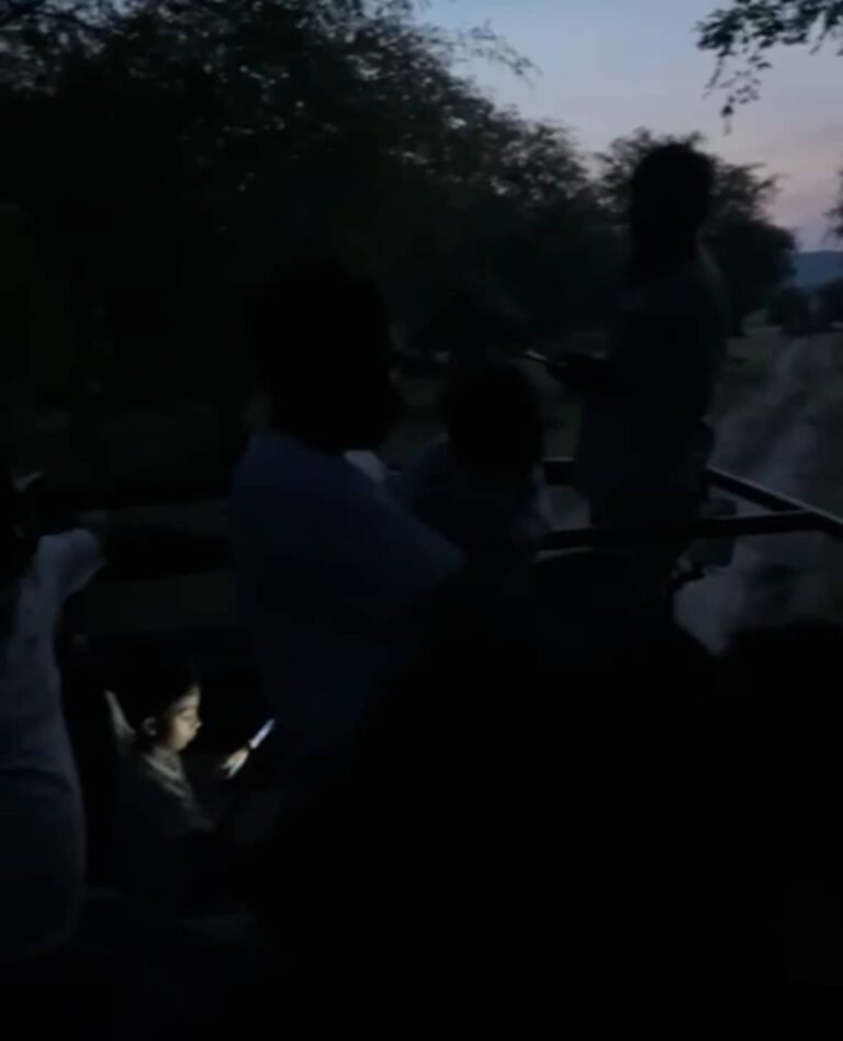 Rajasthan Tiger Safari Horror: Guide Leaves Tourists In The Middle Of Jungle